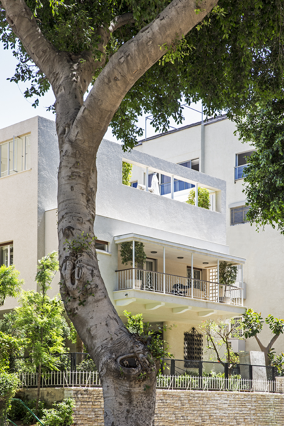 White Villa facade behind a mature tree